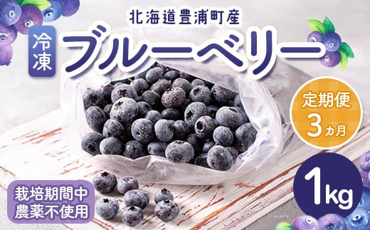 
【定期便3カ月】北海道 豊浦町産 冷凍 ブルーベリー 1kg 栽培期間中農薬不使用 【ふるさと納税 人気 おすすめ ランキング 果物 ブルーベリー 冷凍ブルーベリー 国産ブルーベリー 濃厚ブルーベリー 大容量 無農薬 おいしい 美味しい あまい 新鮮 定期便 北海道 豊浦町 送料無料】 TYUS008
