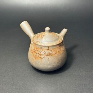 仁　18号炭化洋梨藻掛茶注（木）1-181｜陶器 やきもの 焼き物 手作り 谷川仁 職人 伝統工芸品 急須 常滑焼愛知県 常滑市