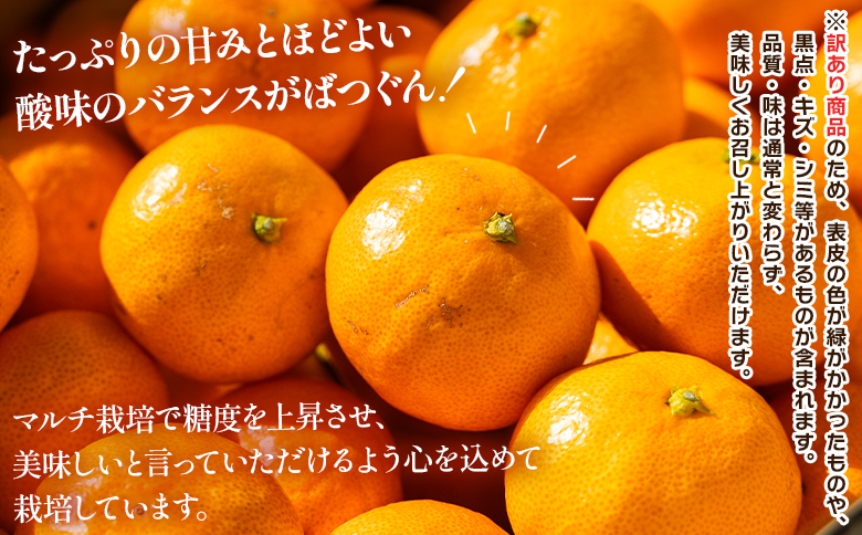 【2025年出荷分】訳あり 露地みかん(2S～Mサイズ) 5kg＋約100g (傷み補償分) 丸萬農園 mn-0004