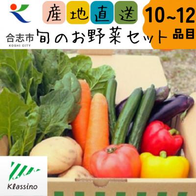 ふるさと納税 合志市 熊本県合志市の旬のお野菜セット10〜12品目