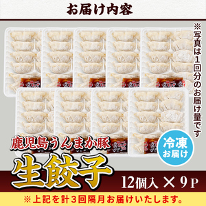 s602-B 【隔月・定期便3回】タレ付き！鹿児島うんまか豚生餃子(計108個・12個入り×9P×3回) 鹿児島 冷凍 にんにく・ニラ不使用 国産野菜100％ ぎょうざ 餃子 ギョーザ 焼き餃子 水餃