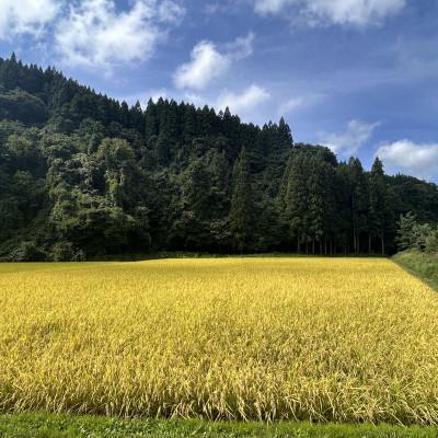 ふるさと納税 十和田市 【令和7年産】青森県産まっしぐら玄米30kg |  | 02