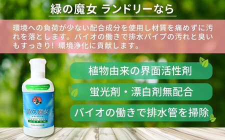 環境配慮型洗剤緑の魔女ランドリー820ml×12本セット | 茨城県 龍ケ崎市 洗剤 液体 液体洗剤 環境配慮 エコ やさしい 洗濯 洗濯洗剤 衣類 汚れ よごれ 油汚れ 皮脂 皮脂汚れ 大容量 パイ