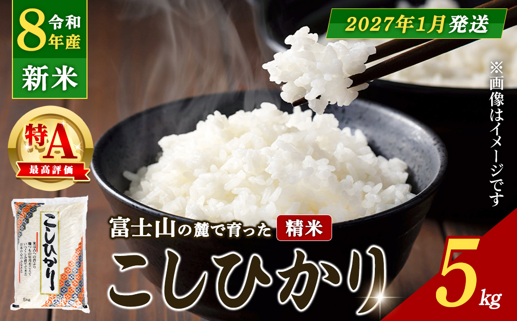 【2027年1月発送】新米 令和8年産 コシヒカリ【 精米 】5kg 米 お米 特A