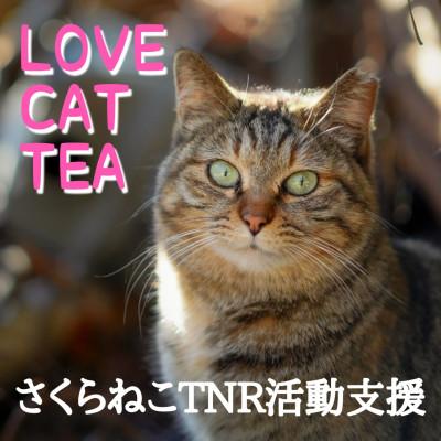 ふるさと納税 静岡市 さくらねこ支援　静岡市産茶ティーバッグ3種類【静岡茶・ほうじ茶・和紅茶】各12個入計36ティーバッグ |  | 02