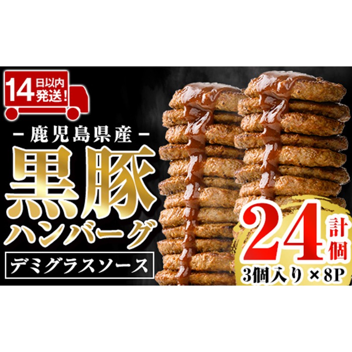 a1003 鹿児島県産黒豚ハンバーグ 計24個 (210g(3個入り)×8パック)【AKR Food Company】姶良市 ハンバーグ デミグラスソース デミソース 国産 鹿児島県産 肉 豚 豚肉 かごしま黒豚さつま お弁当 惣菜 総菜 冷凍ハンバーグ おかず 温めるだけ 湯煎 簡単 冷凍 小分け