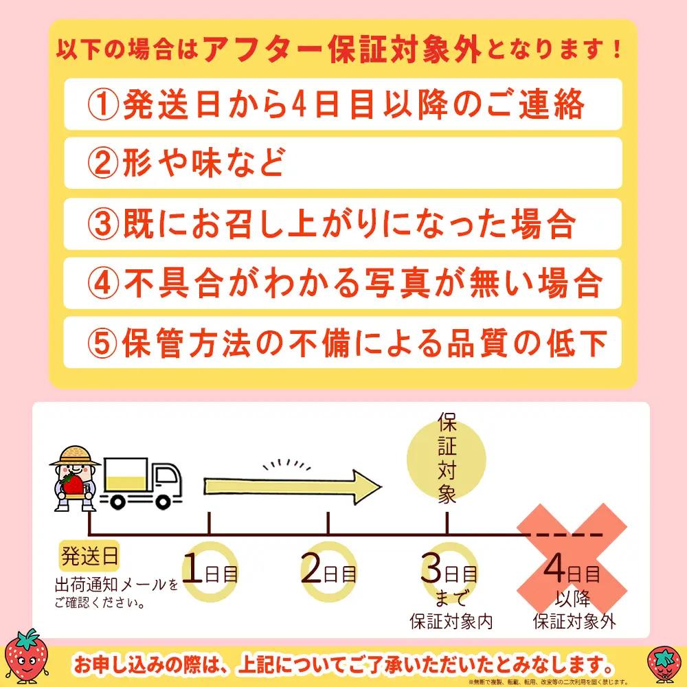 【先行予約／2027年出荷】暖家のいちご　完熟あまおう 約275ｇ×2パック 3Z5-S
