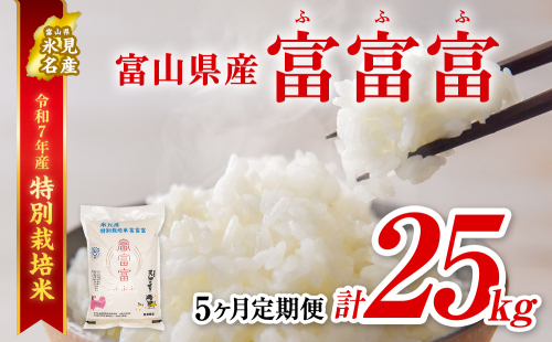 〈5ヶ月定期便〉令和7年産 富山県産 特別栽培米 富富富５kg