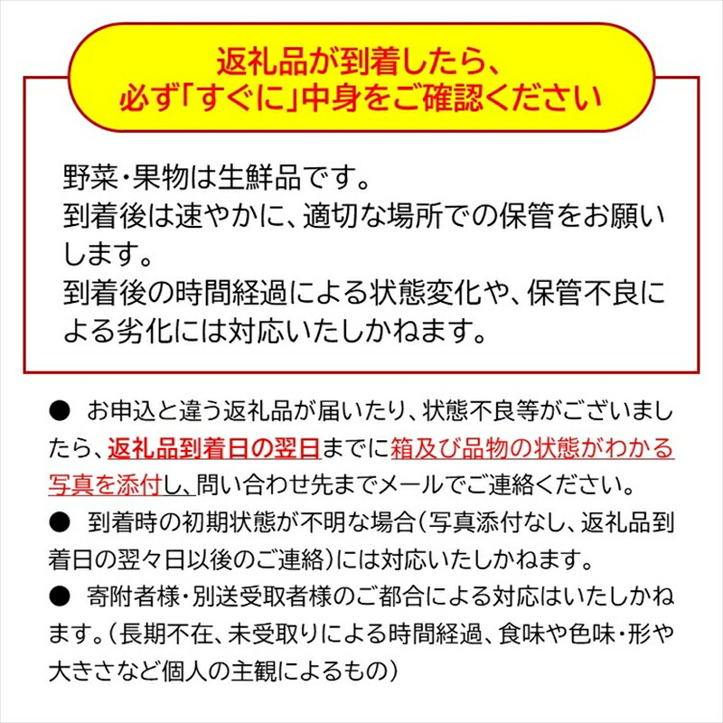 生ニンニク 10個 （直径5cm程度） （2026年7月～10月出荷／沖縄・離島は配送不可） にんにく　ガーリック　最高級ホワイト六片種　無農薬　長野県　佐久市　旬彩　国産　信州