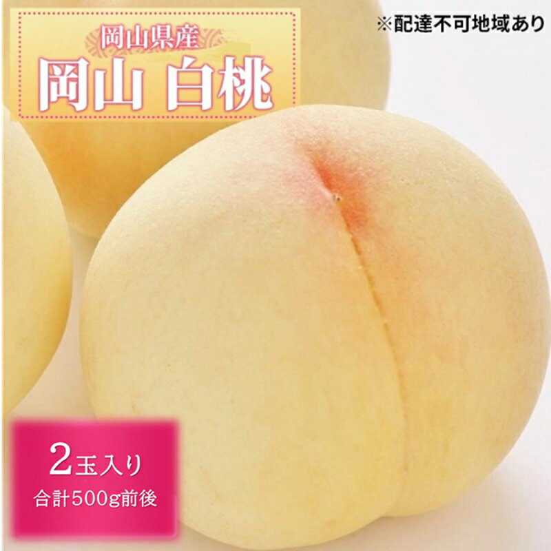 【ふるさと納税】桃 2026年 先行予約 白桃 2玉入り 合計500g前後 岡山県産もも モモ 岡山県産 国産 フルーツ 果物 ギフト　お届け：2026年7月上旬～2026年8月下旬