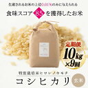 【ふるさと納税】【9回定期】特別栽培米 コシヒカリ ヒロシノキモチ 玄米 10kg 総計90kg 陽咲玲 米 お米 コメ ご飯 ごはん 富山県産 富山県 立山町 F6T-639