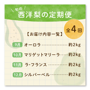 【先行予約】 定期便 令和8年産 西洋梨の定期便 全4回 約8kg