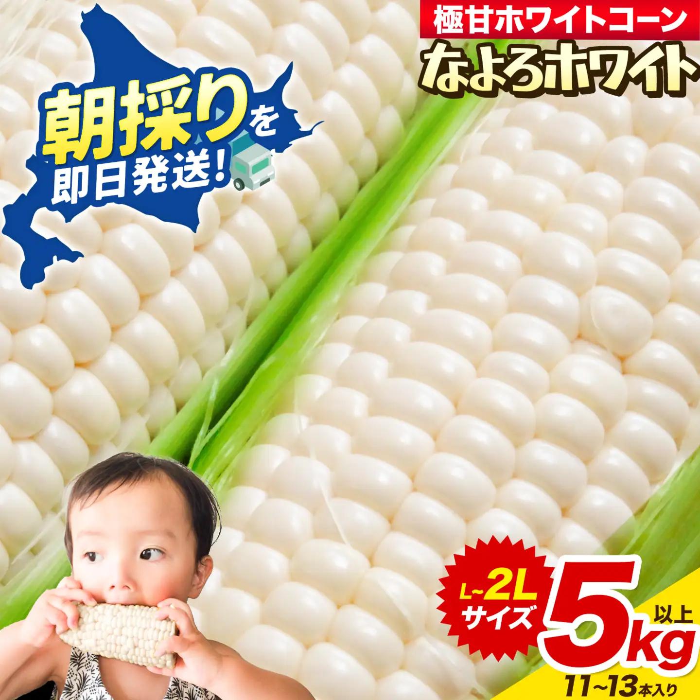  とうもろこし 「なよろホワイト」 5kg 以上 11～13本 名寄　とうもろこし