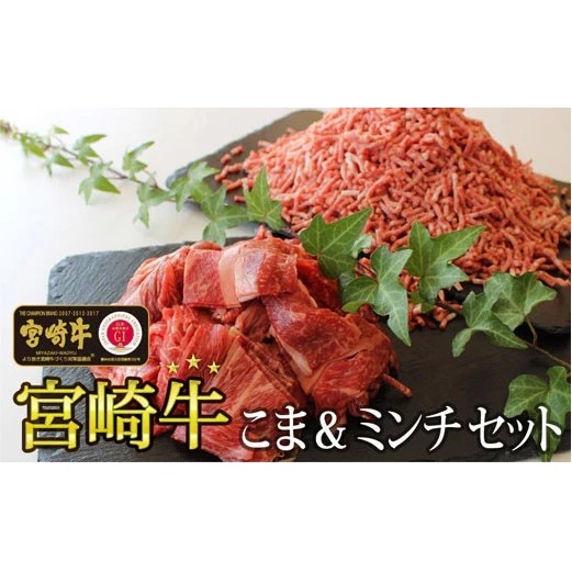 牛肉 宮崎牛 牛こま 400g & ミンチ 600g 計 1kg [SHINGAKI 宮崎県 美郷町 31ag0058] セット 小間 ひき肉 挽き肉 冷凍 宮崎 詰め合わせ