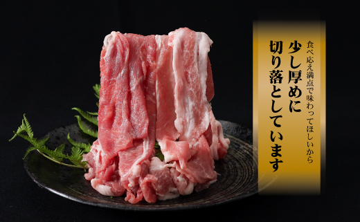 ＜定期便＞12回プラン 【幻の銘柄豚】 富士湧水ポーク 毎月美味しいお肉が届く！ 切り落とし1.5kg+挽肉1.5kg（保存に便利な真空パック） 肉　豚肉　豚　ポーク　湧水ポーク　豚こま　豚小間　豚ひ