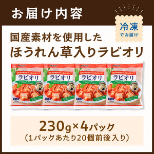 国産素材のほうれん草入りラビオリ(230g×4)《 ほうれん草 生パスタ おかず 副菜 もちもち 一口サイズ 》【2400I15937】