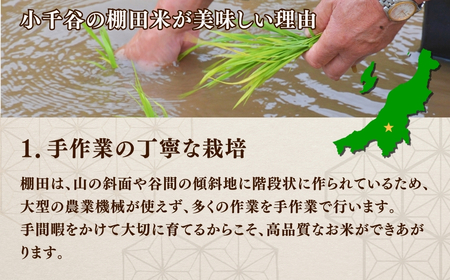【 令和7年産 先行予約 】魚沼産コシヒカリ 10kg 棚田コンテスト入賞者