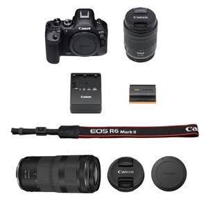 【追加レンズセット】 キヤノン ミラーレス カメラ EOS R6 MarkⅡ レンズキット & 望遠レンズ キャノン _0055C
