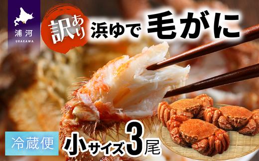 
                  【期間限定★訳あり品★】漁協の浜ゆで毛がに 小サイズ３尾セット※日付指定対応不可※[02-1073]
                