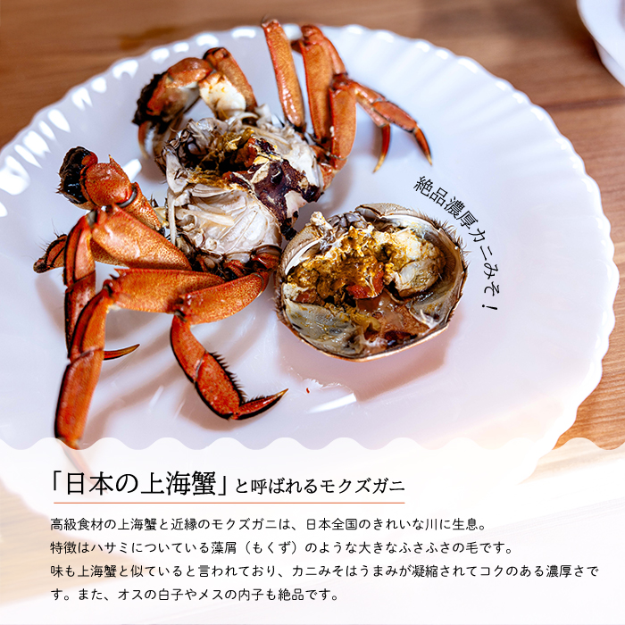 【先行受付】広島県産 天然活きモクズガニ（オス・メス混合/1kg） 2025年12月16日発送予定 天然 サイズ混ざり 国産  藻屑蟹 川蟹 川ガニ 上海蟹  唐揚げ 味噌汁 蒸し 茹で ボイル レシピ付き 117022