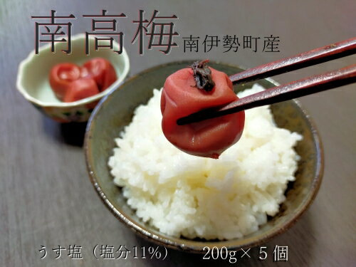 【ふるさと納税】 梅干し 小梅 うす塩 200g 5個 計 1kg 南高梅 ないぜしぜん村 梅干 無添加 樹上 完熟 とろける 塩分 11% うめ 梅 ume 肉厚 手作り うめぼし 伊勢志摩 三重県 南伊勢町