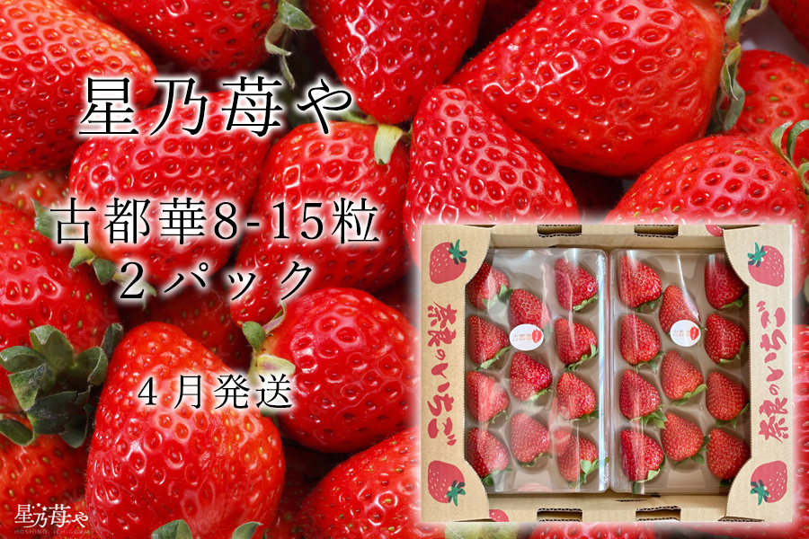 奈良県ブランドいちご 古都華2パック4月発送 / 奈良県広陵町古都華生産星乃苺や いちご イチゴ 古都華 奈良