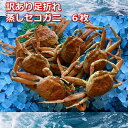 【ふるさと納税】【先行予約】蒸し訳あり足折れご自宅用　日本海産親ガニセコガ二6枚MK18 | 蟹 魚介類 水産 食品 人気 おすすめ 送料無料
