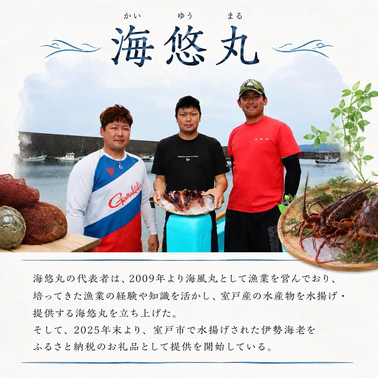 スルメイカ 干物 5個 （約500～700g） 干物 するめいか 干しイカ いか イカ 半日干し 生干し 5個 5枚 魚介類 海鮮 水産加工品 冷凍 真空パック 小分け 室戸海洋深層水 塩干し イカ焼