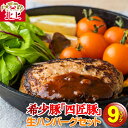 【ふるさと納税】生 ハンバーグ 150g × 9個 計1,350g 国産 稀少豚使用 まきさわ工房 肉 豚肉 牛肉 手作り 小分け 冷凍 おかず 焼くだけ 簡単 真空パック ストック レトルト プレゼント お歳暮 ギフト 贈答 作り置き ひき肉 長期保存 個包装 オリジナル 岩手県 北上市 C0125