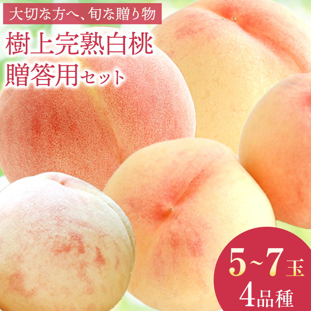 【ふるさと納税】【2025年発送】岡山県備前市産　樹上完熟白桃　贈答用セット　約1.5kg（5～7玉目安）×4回発送《6月下旬‐7月頃出荷》フルーツパーク備前 岡山県 備前市