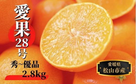 【2026年12月頃から順次発送】 愛果28号 (紅まどんな と同品種) 約2.8kg 秀~優品   | 愛媛県産 みかん 蜜柑 オレンジ 柑橘 果物 フルーツ お取り寄せ おすすめ 愛媛県 松山市