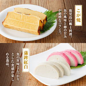 【B10003】老舗の味！さつま揚げ・かまぼこセットG(6種) 鹿児島 さつまあげ さつま揚げ 薩摩揚げ つきあげ 蒲鉾 練り物 ねりもの おかず おつまみ お惣菜 棒天 平天 セット 食べ比べ 詰合