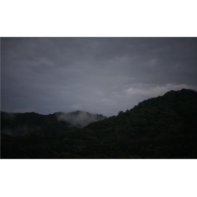 ふるさと納税 臼杵市 suzunari coffeeオリジナルブレンド<刻刻>(200g×2)【豆】 |  | 03