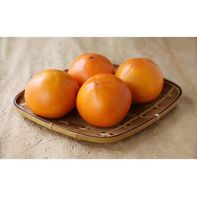 ふるさと納税 八頭町 【2026年発送分】八頭町特産 花御所柿