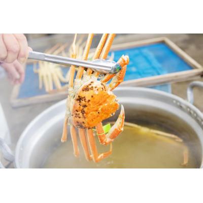 ふるさと納税 宮津市 松葉蟹 ほぐし身(特々特大) ※活き蟹1200g級使用【甲羅盛り】 |  | 02