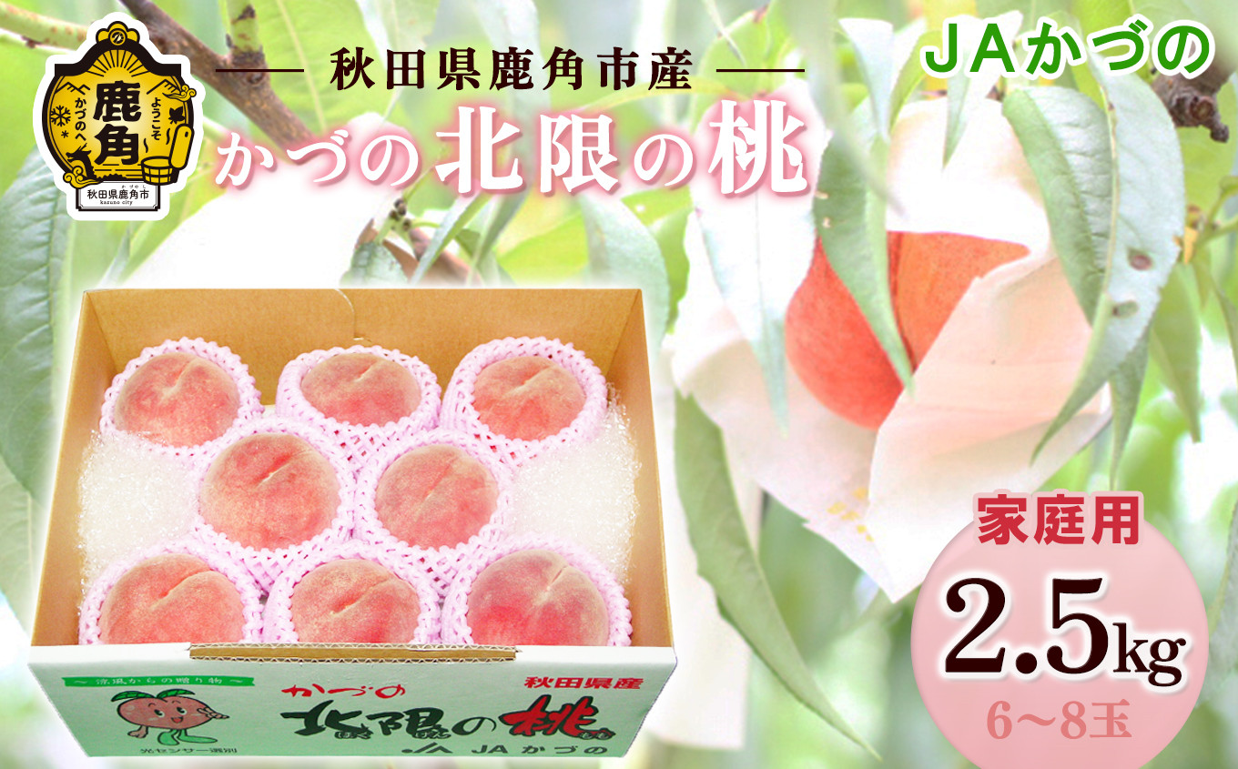 
            《 先行予約 》 JA 桃 かづの北限の桃 家庭用 約 2.5kg ( 6～8玉 ) 【JAかづの】●2025年9月上旬発送開始 桃 光センサー 訳あり もも モモ 甘い 果物 フルーツ くだもの グルメ お取り寄せ 人気 ランキング お中元 お歳暮 ギフト 故郷 秋田 あきた 鹿角市 鹿角 送料無料 
          