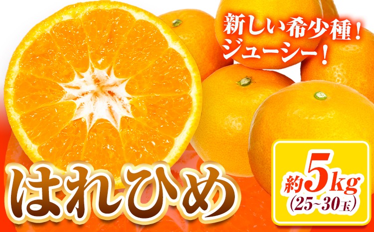 【先行予約】みかん はれひめ 約 5kg 25玉 ～ 30玉 紀農人株式会社《2025年12月中旬-2月上旬頃出荷》 和歌山県 日高川町 果物 フルーツ 柑橘 蜜柑 柑橘類 旬---wshg_kgr6_12c2j_24_15000_5kg---