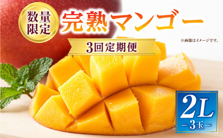 《2026年発送先行予約》【数量・期間限定】3回定期便 2L3玉完熟マンゴーコース 宮崎特産 完熟マンゴー マンゴー 糖度13度 糖度14度 南国 フルーツ 定期便 果物 くだもの 数量限定 期間限定