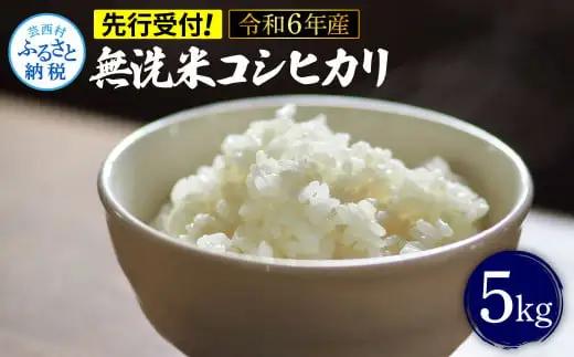 先行予約 令和7年産 無洗米コシヒカリ5キロ 