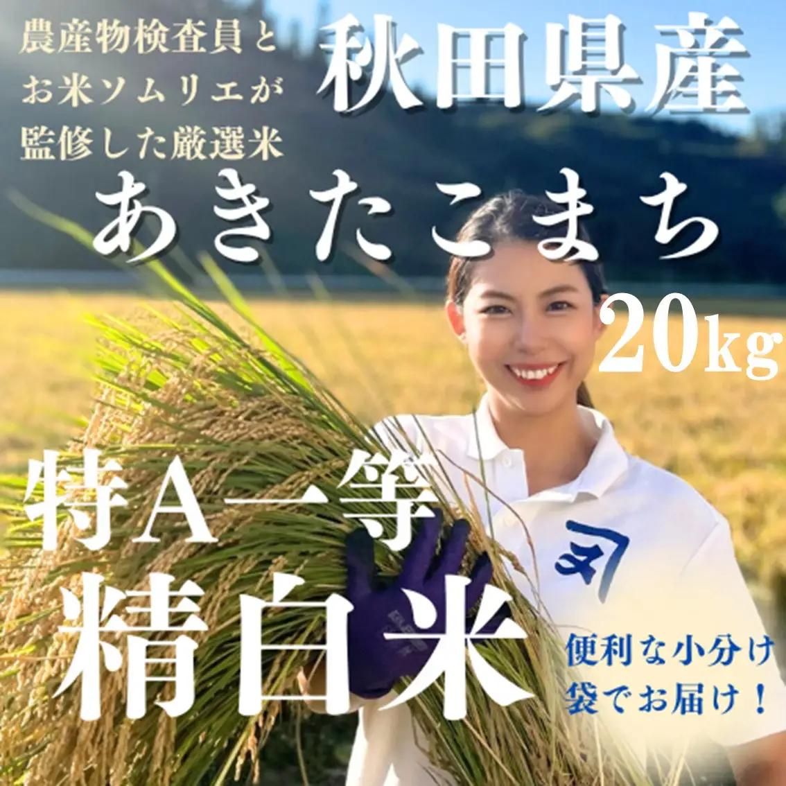 【令和7年産米】あきたこまち 特A 白米 20kg あきたこまち [O2301]