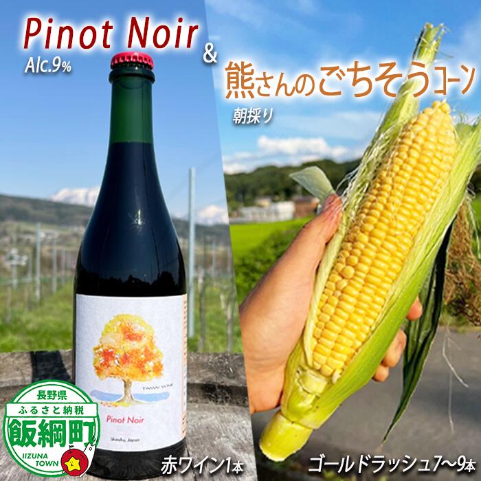 【ふるさと納税】赤ワイン Pinot Noir + 熊さんのごちそうコーン 7~9本 TAMAI WINE 配送先は本州限定 長野県 飯綱町 信州 〔 お酒 酒 ワイン セット アルコール 洋酒 とうもろこし 〕 発送：2025年8月上旬～
