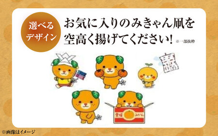 【みきゃんデザイン】 五十崎凧1統・うちわ1枚 BKBF006 凧
