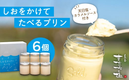 しおが主役 しおをかけてたべる プリン 花塩 プレーン 6個 セット 糸島市 / またいちの塩 [AEB001] ランキング 上位 人気 おすすめ プリン ギフト 塩 お菓子 テレビ スイーツ デザート 詰め合わせ
