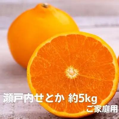 せとか 瀬戸内 ご家庭用 みかん せとか【約5kg】【先行予約】