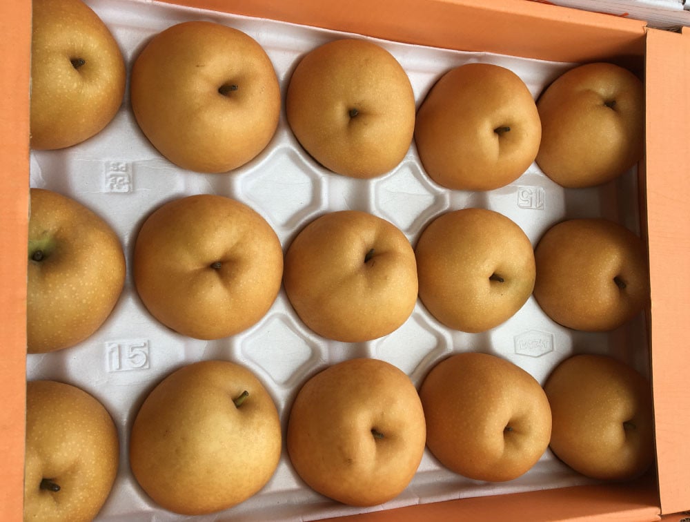 熊本「旬の梨」約5kg