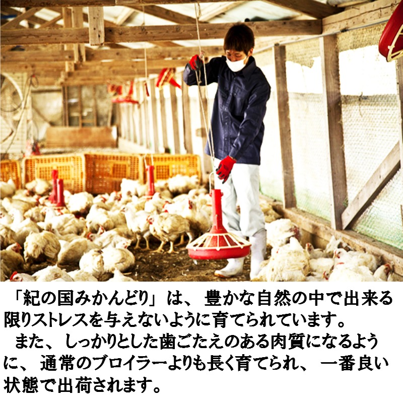 582.紀の国みかんどり　特選唐揚げ40個セット(A582-1)