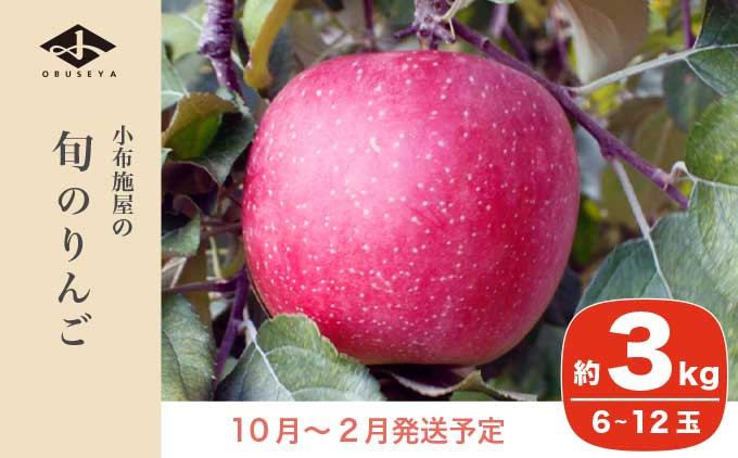
             長野県産 季節の旬のりんご 約3kg 6～12玉［小布施屋］ りんご 林檎 リンゴ  果物 フルーツ 令和7年産 【2025年10月～2026年2月発送】 ［H-72］
          