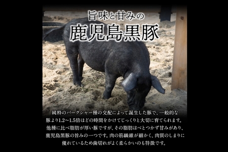 022-52 鹿児島黒豚ロースとんかつセット
