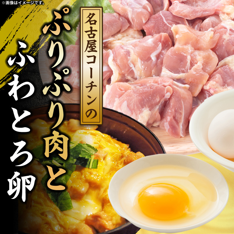 【名古屋コーチン入り】駒来しいたけの駒丼（こまどん） しいたけ丼 シイタケ丼 椎茸丼 名古屋コーチン コーチン肉付き 親子丼 地鶏 日本三大地鶏 国産 鶏 鶏肉 レトルト 常温 非常食 湯煎 レンジ 