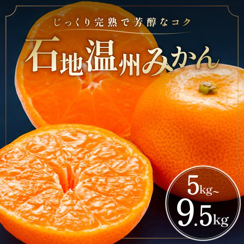 【ふるさと納税】【1週間以内に発送！】ミカファーム 石地温州みかん 5kg 9.5kg 希少品種 三重県御浜町産【樹上で完熟させた、甘くてコクのあるみかん】